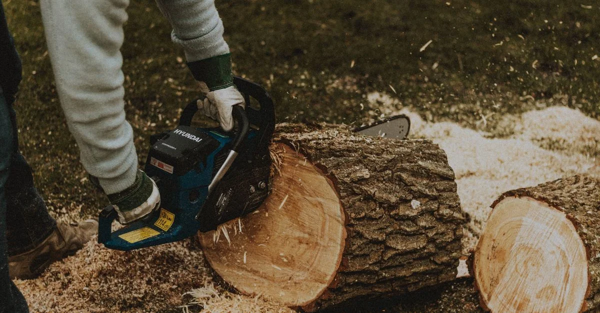 Un travailleur utilise une tronçonneuse pour couper une bûche dans un environnement extérieur verdoyant.